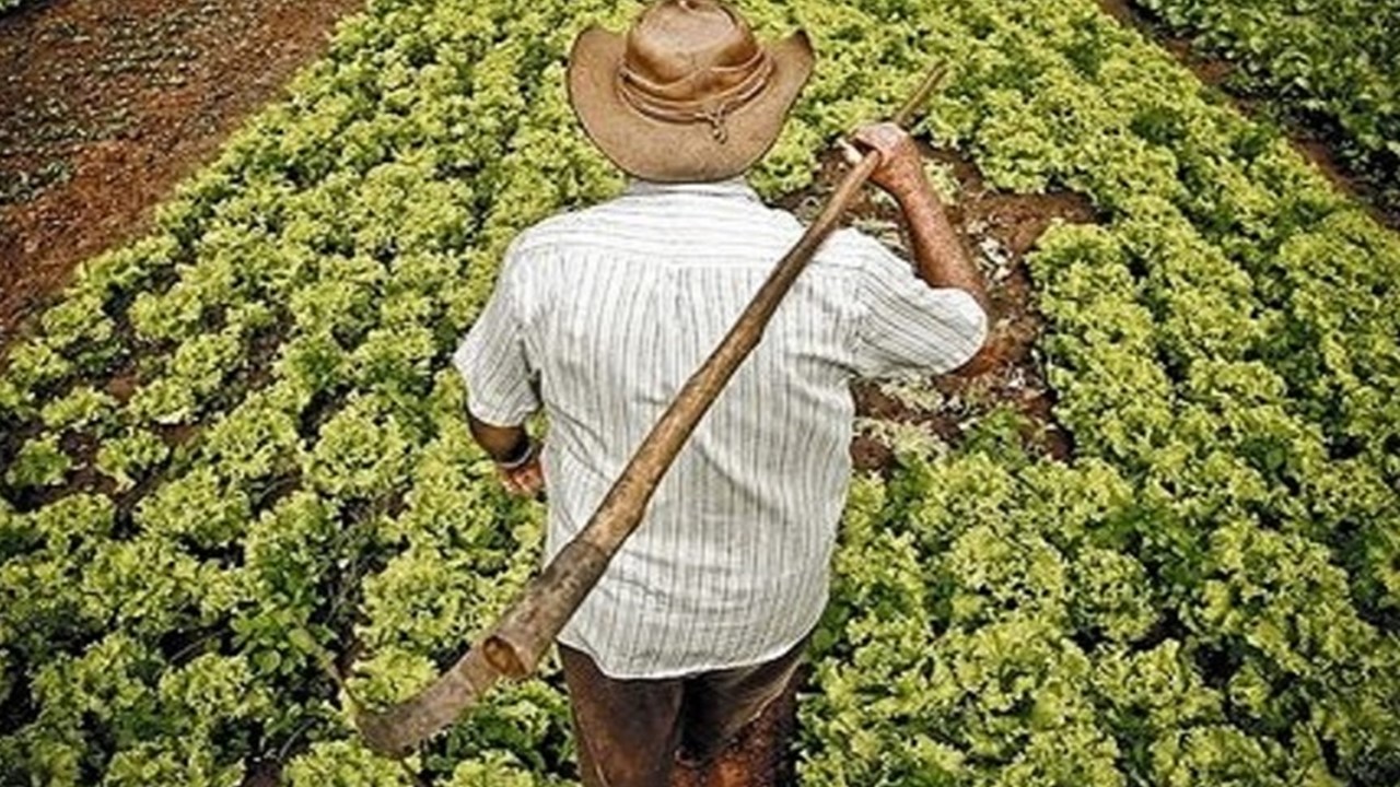 saúde do campo es